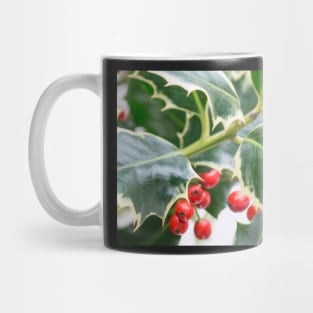 Christmas Holly Greeting Card Mug